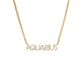 ICY ZODIAC NECKLACE