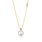 GOLD PLATED OCEANA NECKLACE